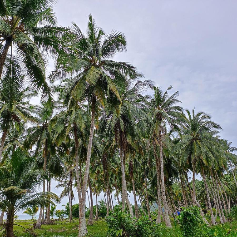 ANDAMAN AND NICOBAR ISLANDS Honey Moon Beach Resort מראה חיצוני תמונה